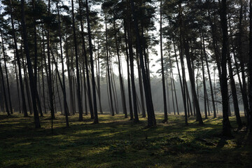 Region Teutoburger Wald