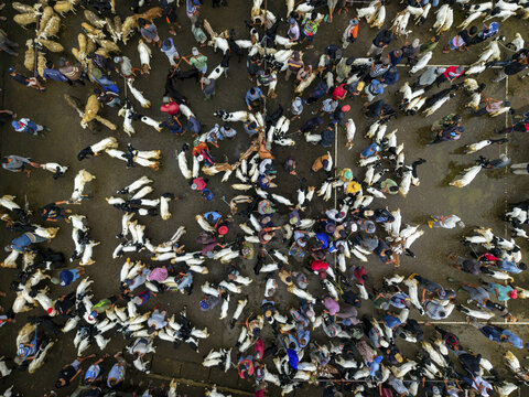 Aerial view of the bustling Kaligesing goat market with people and livestock creating a mosaic of movement and color, Purworejo Regency, Central Java, Indonesia.