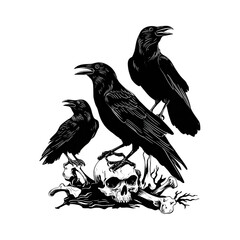 Fototapeta premium Black raven silhouettes perched on human skull illustration isolated on Transparent Background
