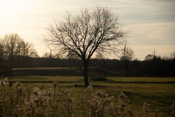Region Teutoburger Wald