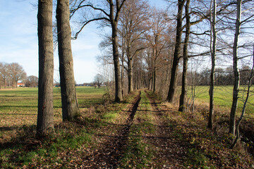 Region Teutoburger Wald
