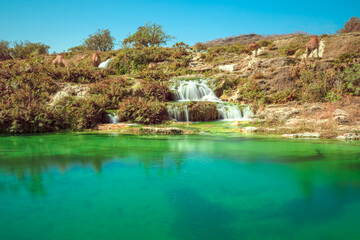 long exposure of Wadi Darbat clear emerald water flowing into a natural pool with camels, surrounded by lush vegetation and rocky terrain under a blue sky, offering natural landscape in Dhofar, Oman