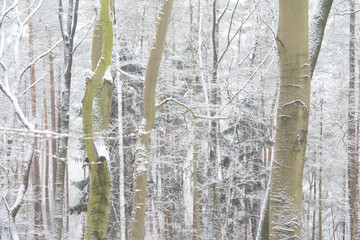 Region Teutoburger Wald