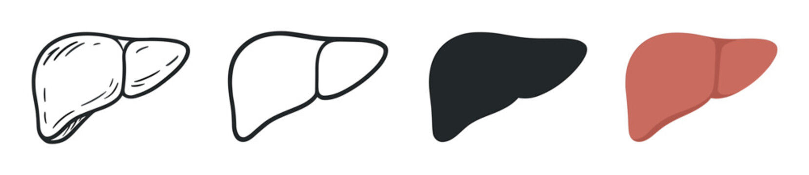Human liver organ vector icon set showing various graphic styles like line art, solid silhouette, hand drawn doodle, and simple flat color illustration for healthcare