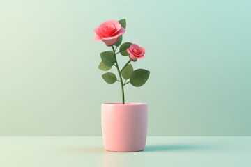 Plant rose flower vase.