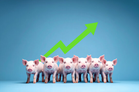 A group of cute pigs isolated on a blue background and a green arrow pointing upwards indicating economic recovery, increased sales, and a price increase.