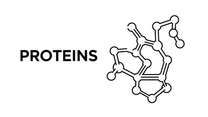 Protein Molecular Structure Vector Icon