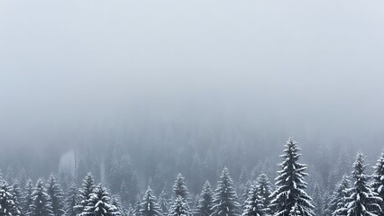 Misty winter forest landscape with snow covered evergreen trees under a pale overcast sky