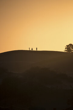 View of a soft, golden sunset casting long shadows across the undulating hills where tiny figures stand silhouetted against the skyline, Gran Canaria, Canary Islands, Spain.