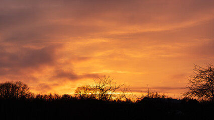 Vivid Golden Hour Sky with Intense Warm Colors and Dark Tree Silhouettes