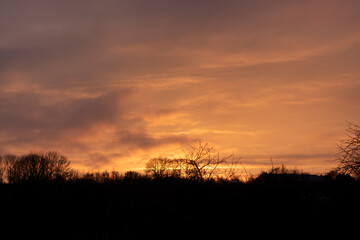 Golden Sunset Sky Over Dark Silhouette of Winter Forest and Bare Trees