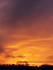 Fiery sunrise sky with glowing orange clouds above dark silhouetted trees