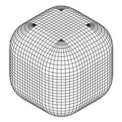 Cube of polygon mesh grid