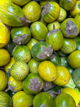 Thai green round aubergine on sale on a market sall