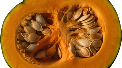 Cross section of a vibrant orange pumpkin showing seeds and pulp detail vividly