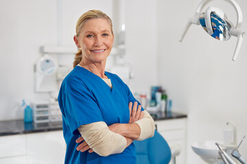 Obraz premium Confident female dentist looking at camera in clinic