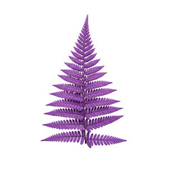 "Purple Fern Leaf Isolated on White – Vibrant Botanical Art"