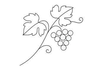 Grapevine illustration with a cluster of grapes and leaves, minimalist line art design, transparent background for wine concept