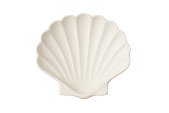 White scallop seashell bowl dish on transparent background