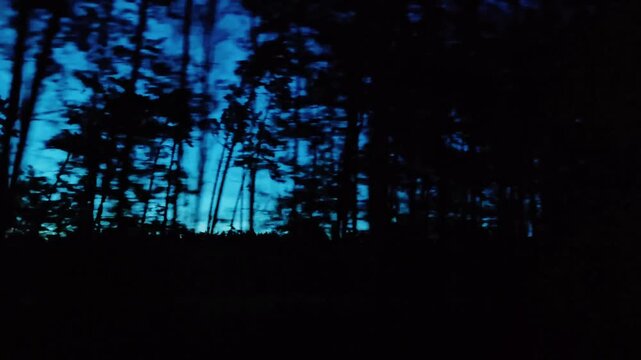 night landscape outside the window of a moving car, car in motion. forest against a dark blue sunset. Side view from a car window. The car is moving at high speed, and the scenery is dramatic.
