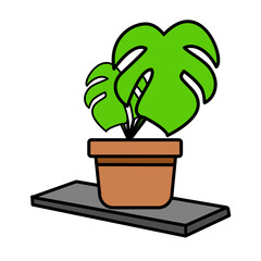 Monstera Leaves Drooping Over Shelf