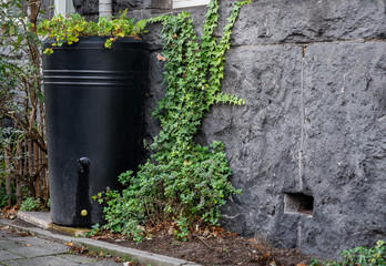 Urban rain barrel in city street, rainwater harvesting and reusage