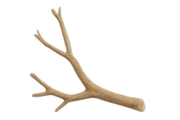 Obraz premium Tree branch natural wood object transparent background