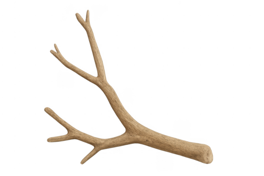 Tree branch natural wood object transparent background