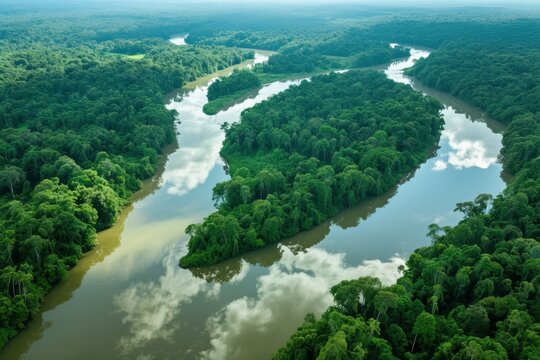 Aerial view of a winding river cutting through dense tropical rainforest - Powered by Adobe