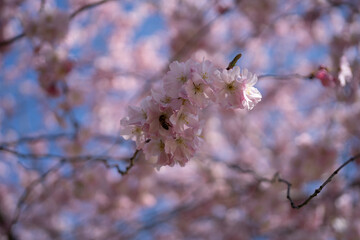 Region Teutoburger Wald