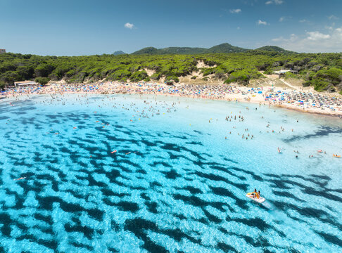 Aerial view of colorful umbrellas on crowded sandy beach, swimmers in blue sea, green trees on sunny summer day. Mallorca, Balearic Islands, Spain. Tropical top drone view. Turquoise water. Travel