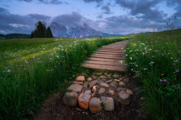 Fototapeta premium Scenic landscape with a wooden path, green grass with flowers in Alpe di Siusi with the Sassolungo mountain during a cloudy sunset in the Dolomites, Italy. Alpine mountains at dusk in summer. Nature