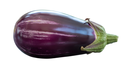 Fresh eggplant with a glossy purple skin against a stark studio shot