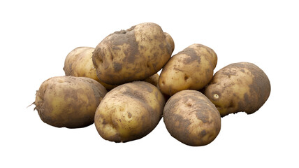 Pile of freshly harvested potatoes covered in soil against a
