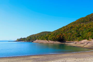 A beach where autumn has begun