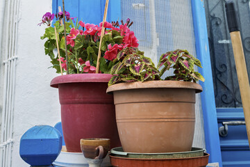 Street scene in Mykonos, Greece, featuring a whitewashed building with vibrant blue wooden doors...