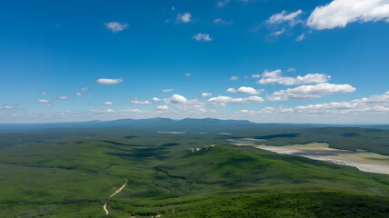 Panoramic aerial view of a lush green forest landscape with distant mountains under a clear blue sky