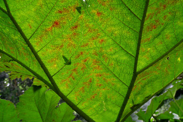 Region Teutoburger Wald