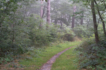 Region Teutoburger Wald