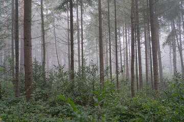 Region Teutoburger Wald