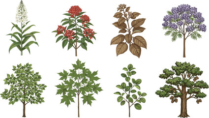 Botanical flora collection with flowering plants and leafy trees for nature, garden, forest, seasonal, and educational vector design themes
