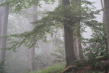 Region Teutoburger Wald