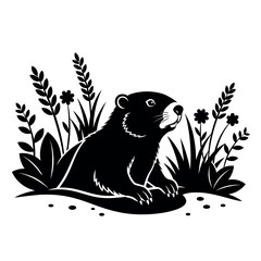 Obraz premium Black and white groundhog illustration emerging from burrow.