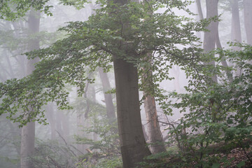 Region Teutoburger Wald