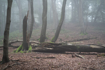 Region Teutoburger Wald