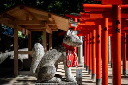Stone fox statue at Fushimi Inari Shrine in Kyoto, Japan
