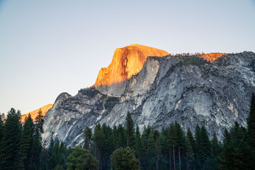 Iconic Half Dome Mountain Peak Bathed in Golden Sunrise Light Above a Pine Forest in Yosemite National Park