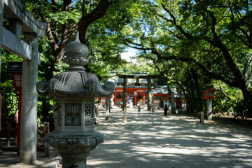 Obraz premium Japanese shrine with stone lantern and traditional architecture