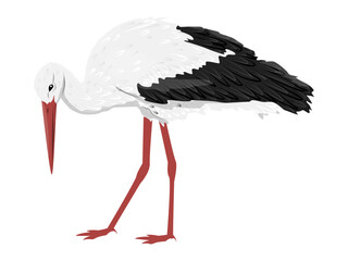 Fototapeta premium A white stork leans over. Realistic vector bird.