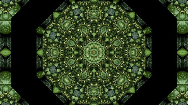 Hypnotic kaleidoscope animation created from natural textures&mdash;leaves, water ripples, tree bark&mdash;forming clean repeating symmetrical tiles, soft rotating movement, organic shapes transforming smoothly, 